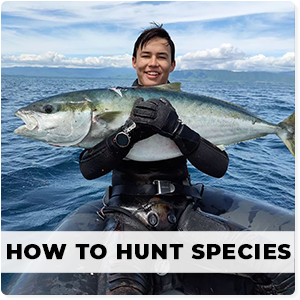 hunt-species-img